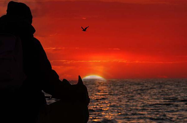 afscheid van hond bij zonsondergang