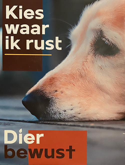 Folder met hond. Campagne Dierbewust.