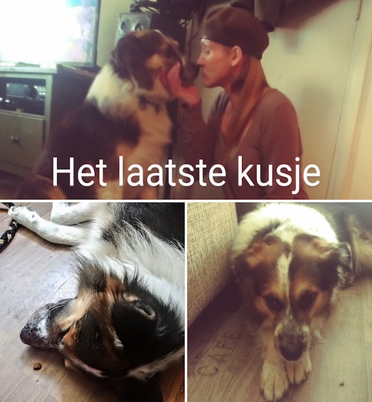 afscheid van hond