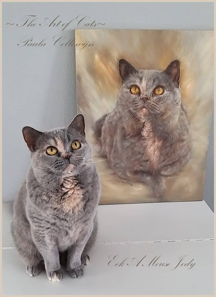 kat poseert voor schilderij van de kat