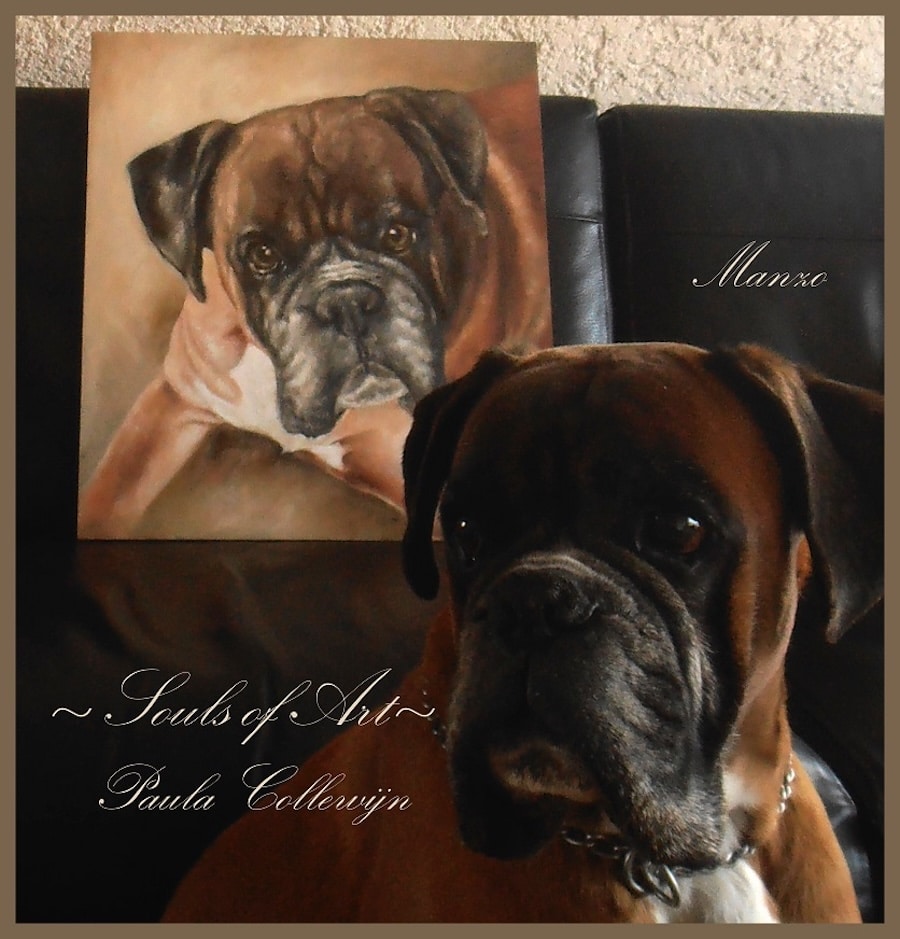boxer hond poseert voor schilderij van de boxer