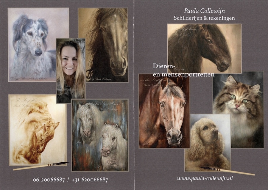folder van kunstenares paula Collewijn. hierop is haar werk te zien; schilderijen van dieren en huisdieren. te zien zijn katten, honden en paarden en een foto van de kunstenares zelf.
