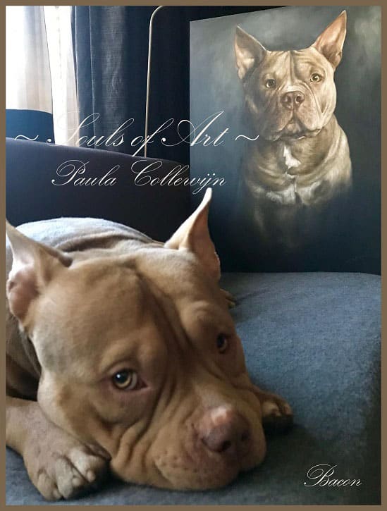 schilderij aandenken van een hond die liggend poseert voor het schilderij